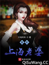 我的上海老布小说