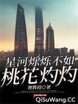 星河烁烁不如桃花灼灼小说
