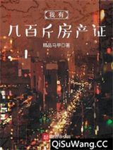 我有几百斤房产证小说