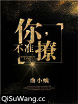 你，不准撩！小说