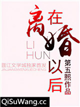 在离婚以后小说