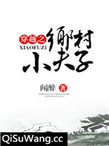 穿越之乡村小夫子小说