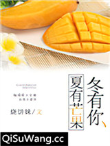 夏有芒果冬有你小说