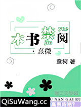 本书禁阅·熹微小说