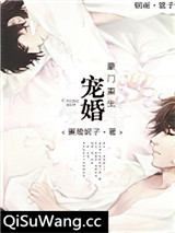 宠婚豪门[重生]小说