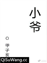 小爷小说