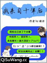我来自十年后小说