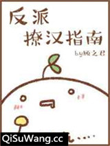 [快穿]反派撩汉指南小说