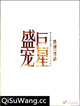 盛宠巨星小说