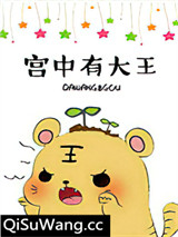 宫中有大王小说