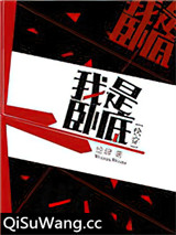 我是卧底[快穿]小说
