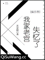 我家老宫失忆了［娱乐圈］小说