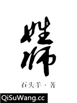 姓师小说