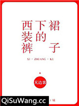西装裤下的裙子小说