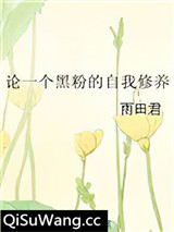 论一个黑粉的自我修养小说