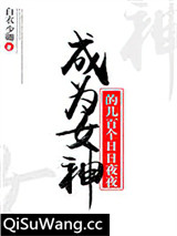 成为女神的几百个日日夜夜小说