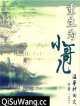 重生为小哥儿小说