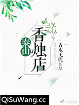 泰山香烛店小说