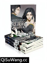 霸气总裁的极品情人小说