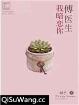 傅医生我暗恋你小说