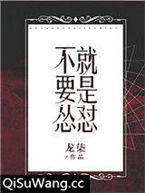 不要怂，就是怼小说