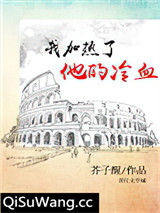 我加热了他的冷血小说