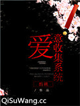 爱意收集系统小说