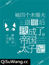 被四个未婚夫退婚后，我成了帝国太子妃小说