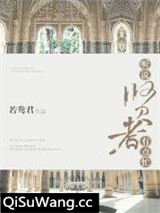 听说贤者有点忙[穿书]小说