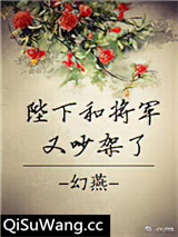 陛下和将军又吵架了小说