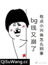 言情线又崩了小说