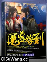 魔尊嫁到小说