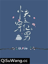 快穿之仙男小说