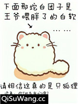 你尾巴戳到我了小说