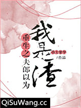 重生之夫郎以为我是渣小说