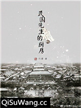 民国先生的厨房小说