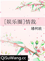 [娱乐圈]情敌小说