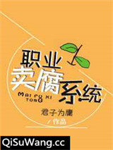 职业撩汉系统小说