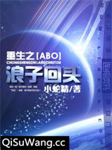 重生之浪子回头小说