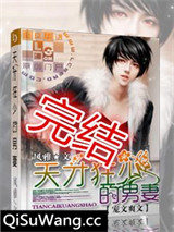 天才狂少的男妻小说