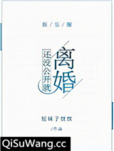 还没公开就离婚[娱乐圈]小说