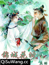 锦城花时小说