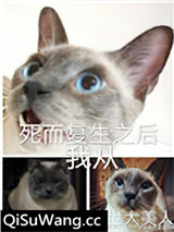 死而复生之后我从老头变成了绝世大美人小说