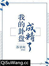 我的卦盘成精了小说