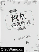 炮灰逆袭标准（快穿）小说