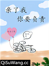 亲了我，你要负责小说