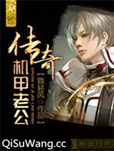 传奇机甲老公小说