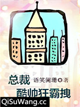 总裁酷帅狂霸拽小说