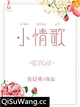 小情歌小说