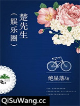 楚先生（娱乐圈）小说